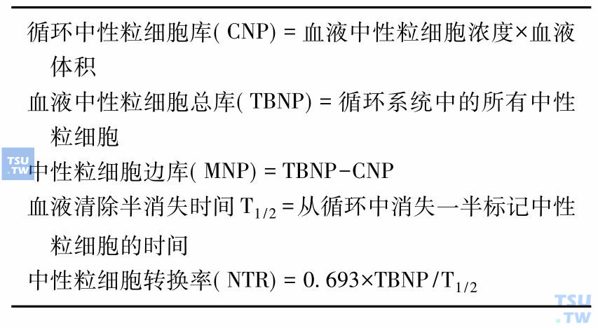 血液中性粒细胞的动力学定义和计算