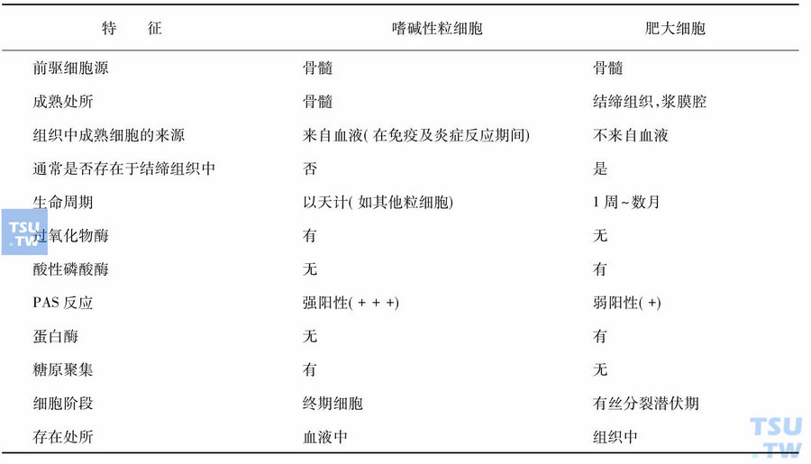 嗜碱性粒细胞与肥大细胞间的相互关系