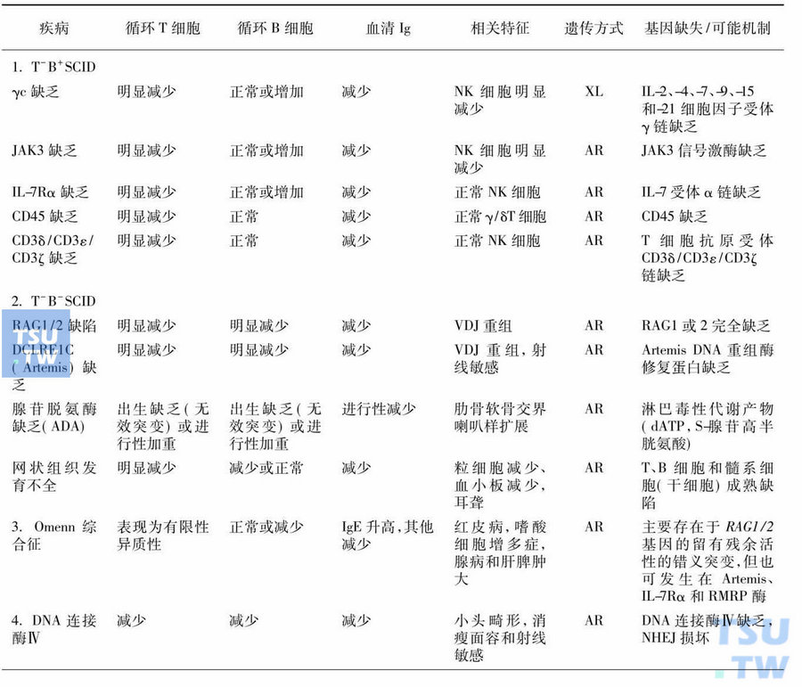 T细胞和B细胞联合免疫缺陷