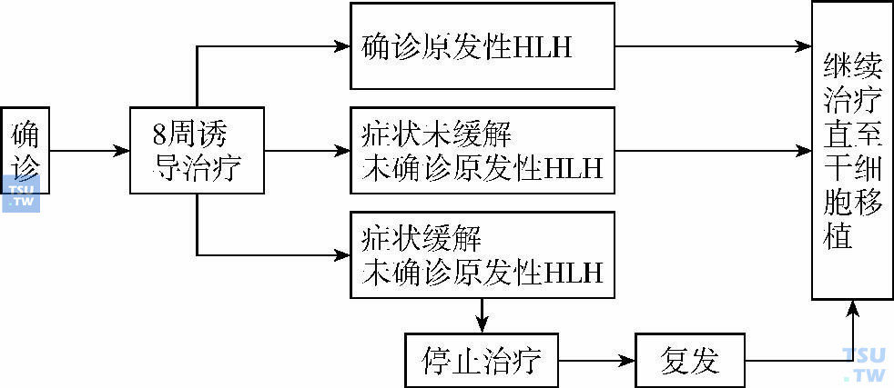 噬血细胞综合征的治疗与预后