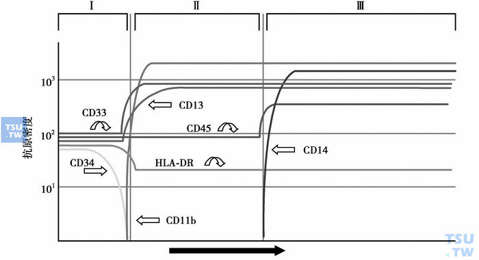  图2　单核细胞成熟过程中抗原的表达