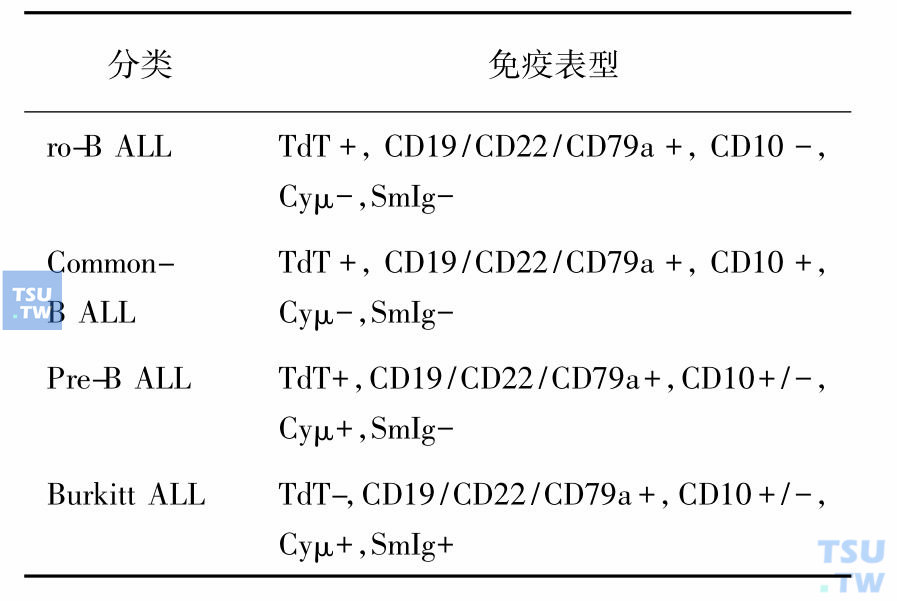 表2　B-ALL的免疫表型分类