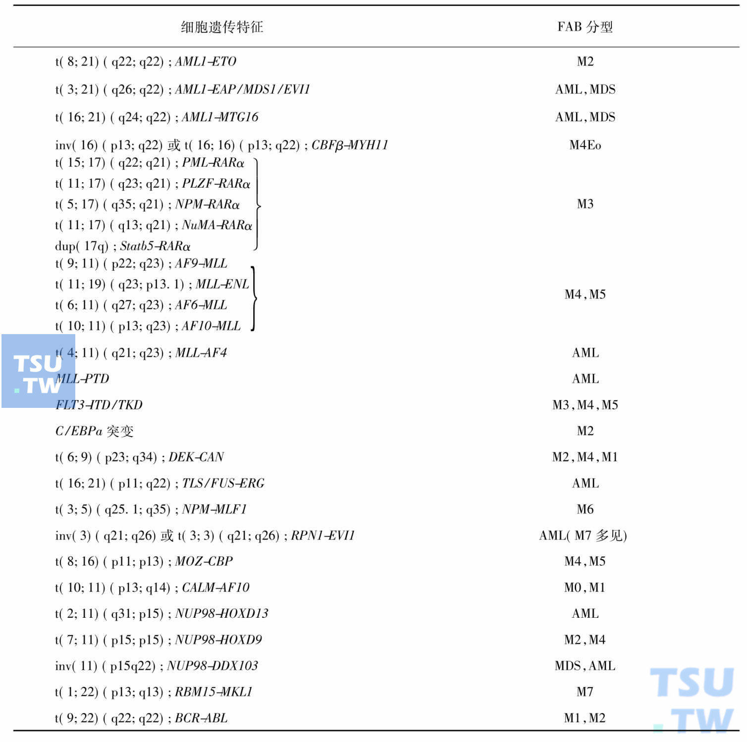 表5　AML细胞遗传学异常与FAB分型