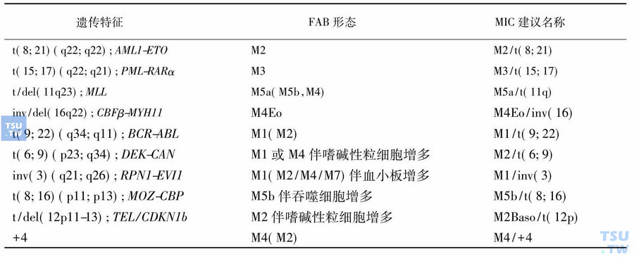 AML的MICM分型