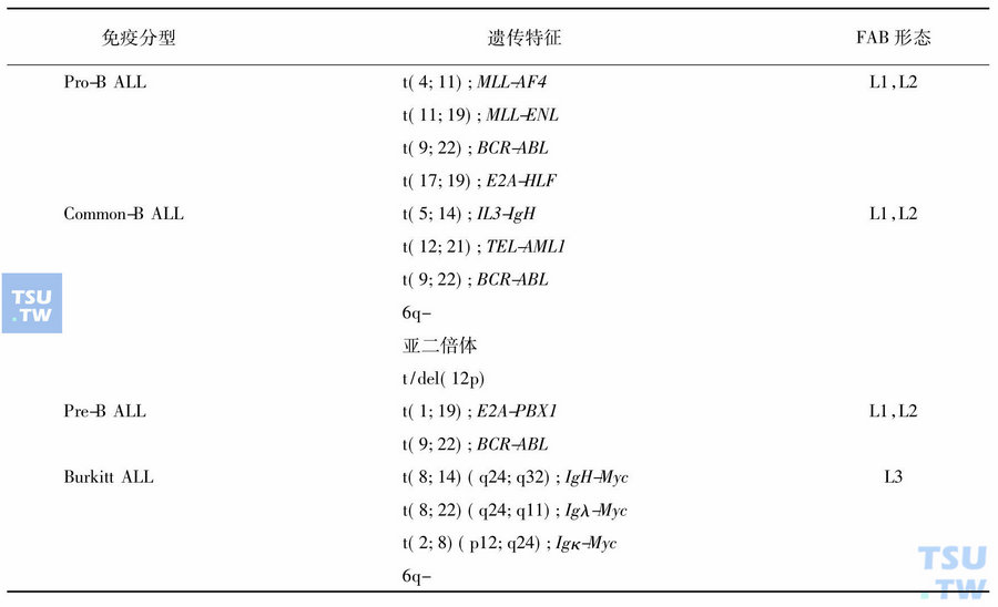 B系ALL的MICM分型