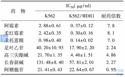 表3　K562/MDR1细胞耐药谱
