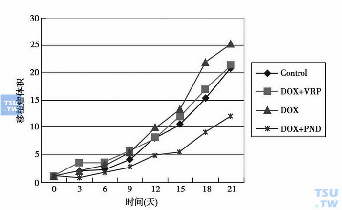  图1　PND逆转K562/A02耐药的裸鼠试验