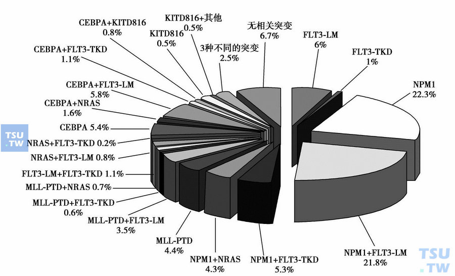  正常染色体核型的AML患者不同分子标记的发生率