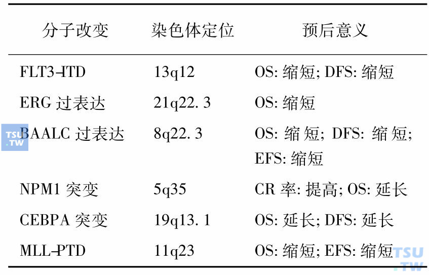 染色体核型正常AML遗传学改变的预后意义