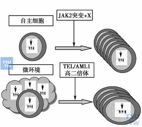  DS-ALL发病机制的推测