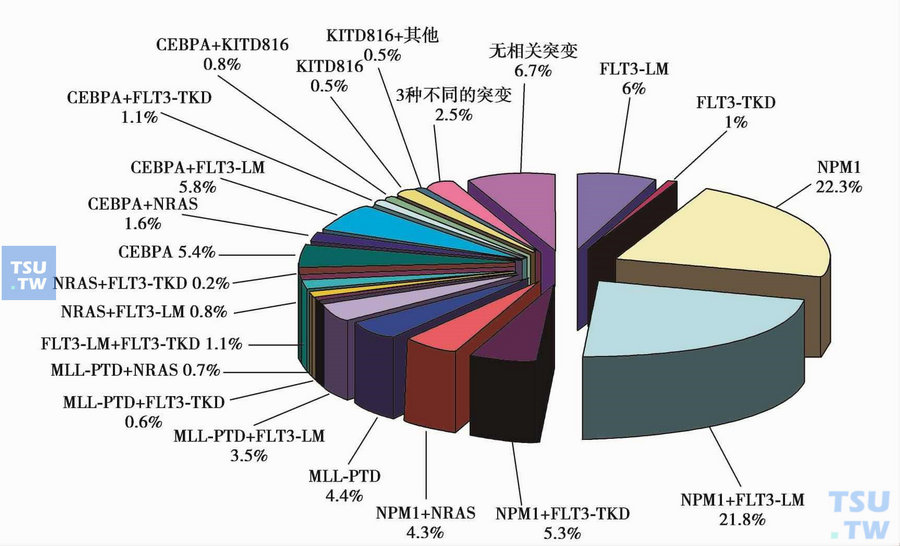  正常染色体核型的AML患者不同分子标记的发生率