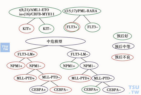  根据染色体核型和分子学异常的AML预后分组