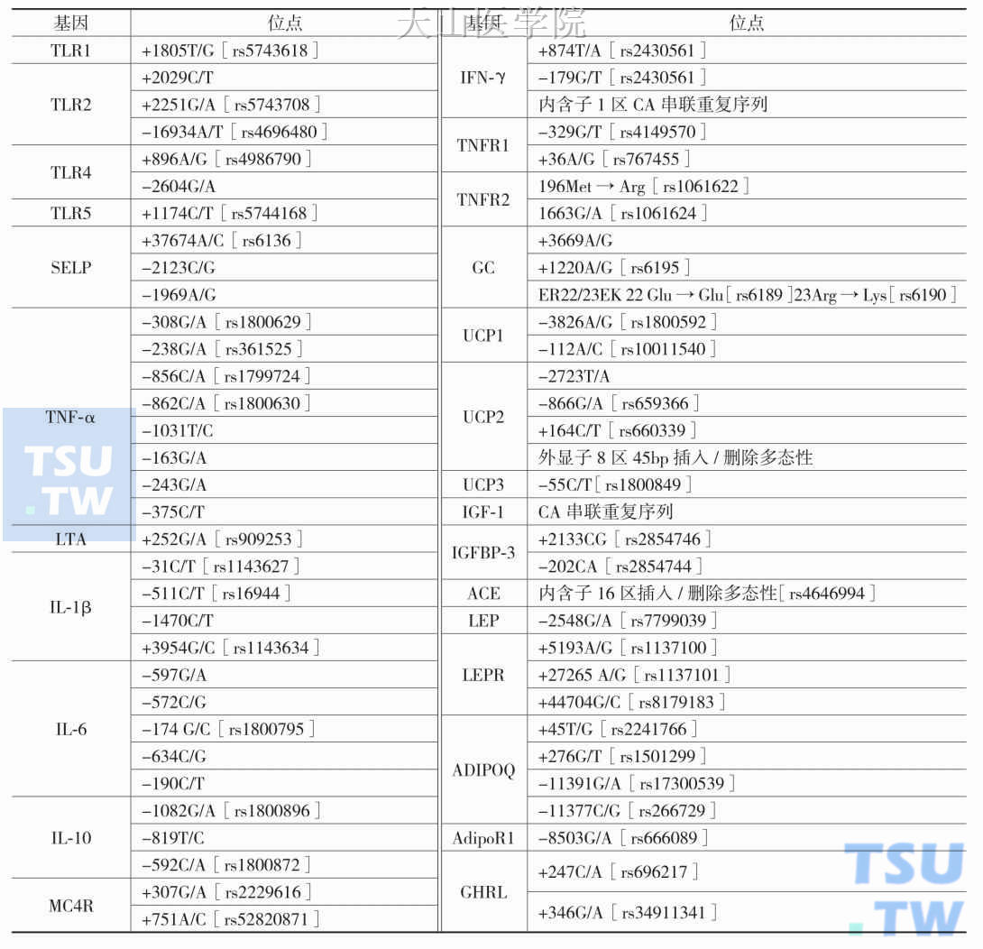 恶液质相关基因多态性位点