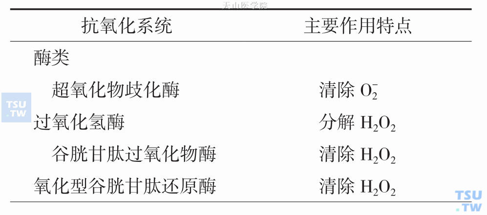 生物体内的主要抗氧化防御系统