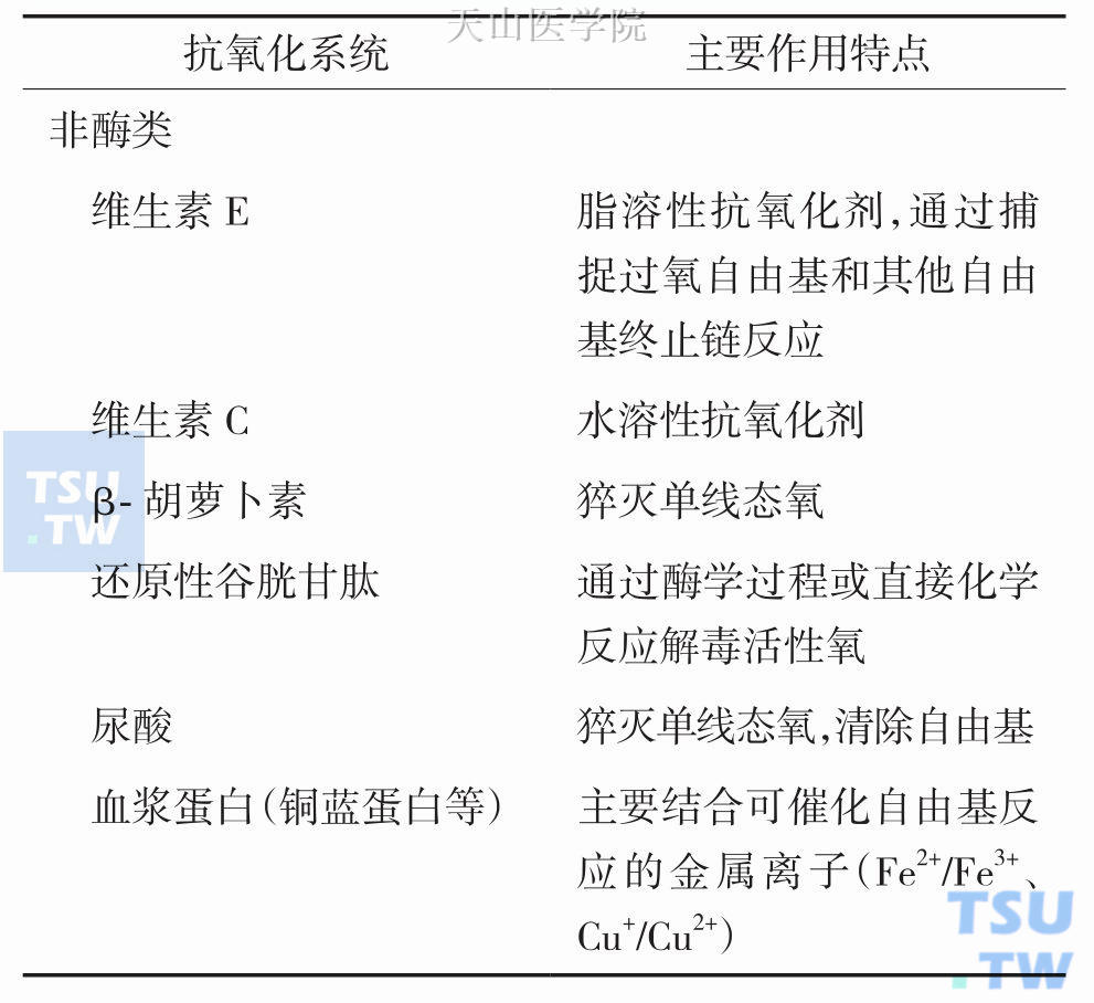 生物体内的主要抗氧化防御系统