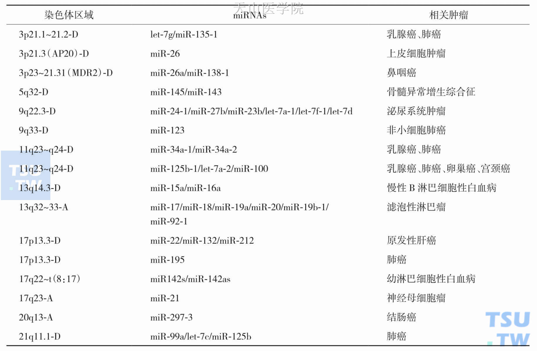 与肿瘤发生相关的部分miRNAs