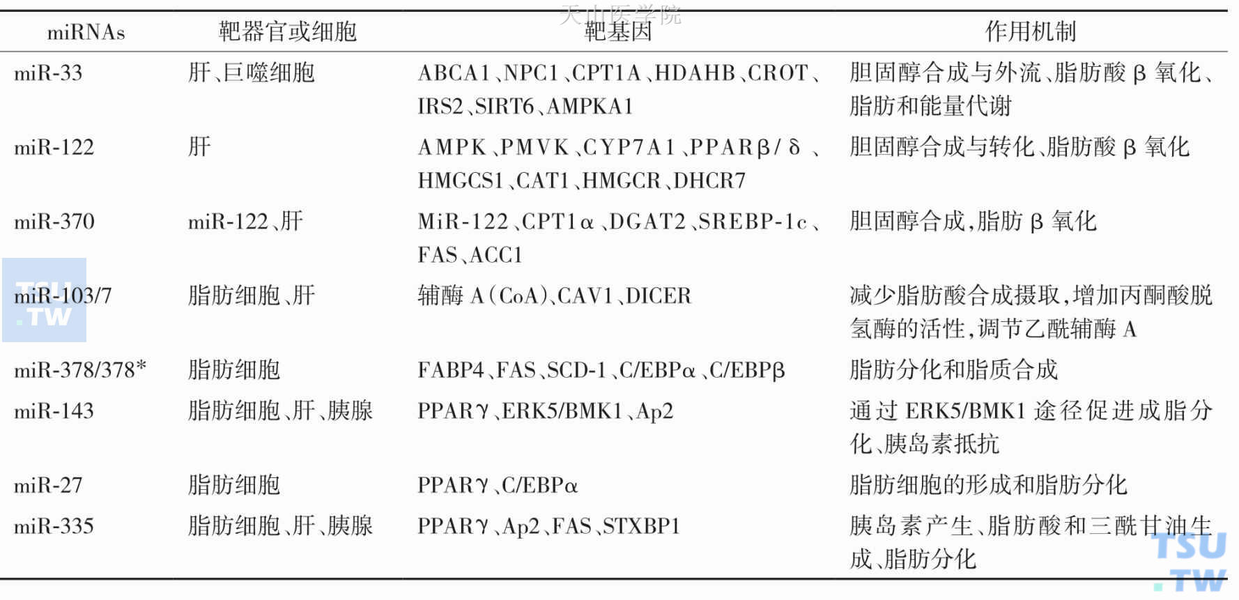 参与脂肪代谢的部分miRNAs