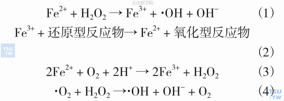 通过Fenton反应（反应式1）