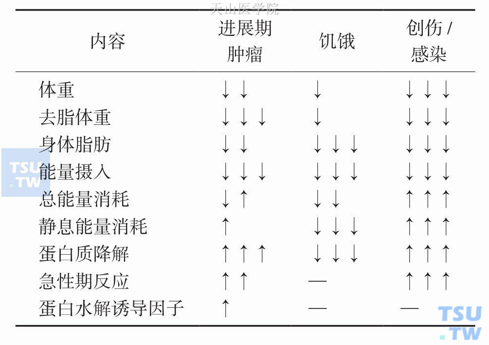 不同条件下体重丢失及身体组成的变化