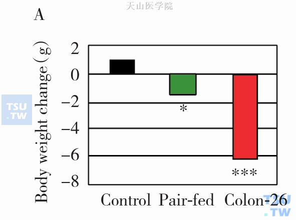 C26肿瘤接种第14天的体重差异（*，P＜0.05；***，P＜0.001 与初始体重比较）