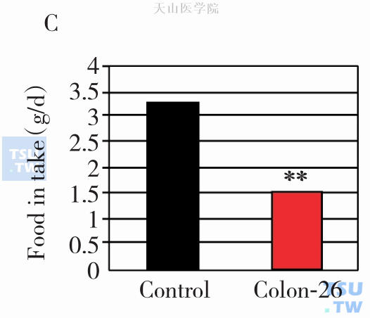 肿瘤接种第14天的食物摄入量（**，P＜0.01 C26肿瘤组与对照组比较）