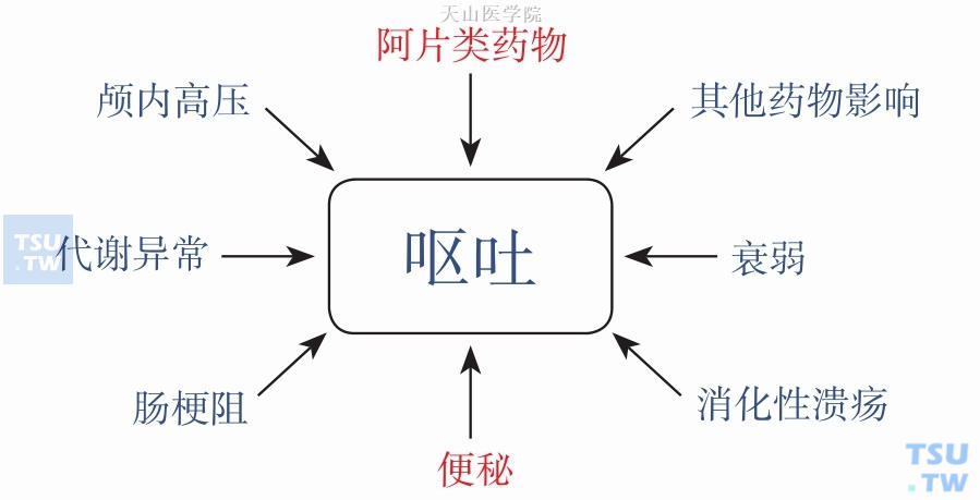 引起晚期癌症患者呕吐的原因，疼痛治疗药物为原因之一