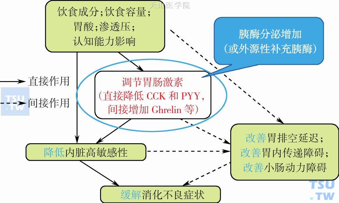 恶液质引起的消化不良