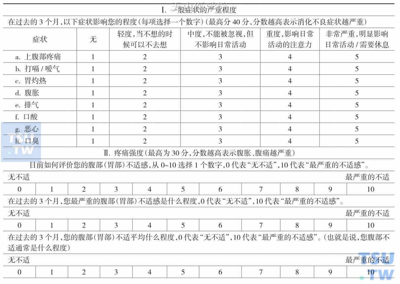 改良消化不良严重程度评估量表