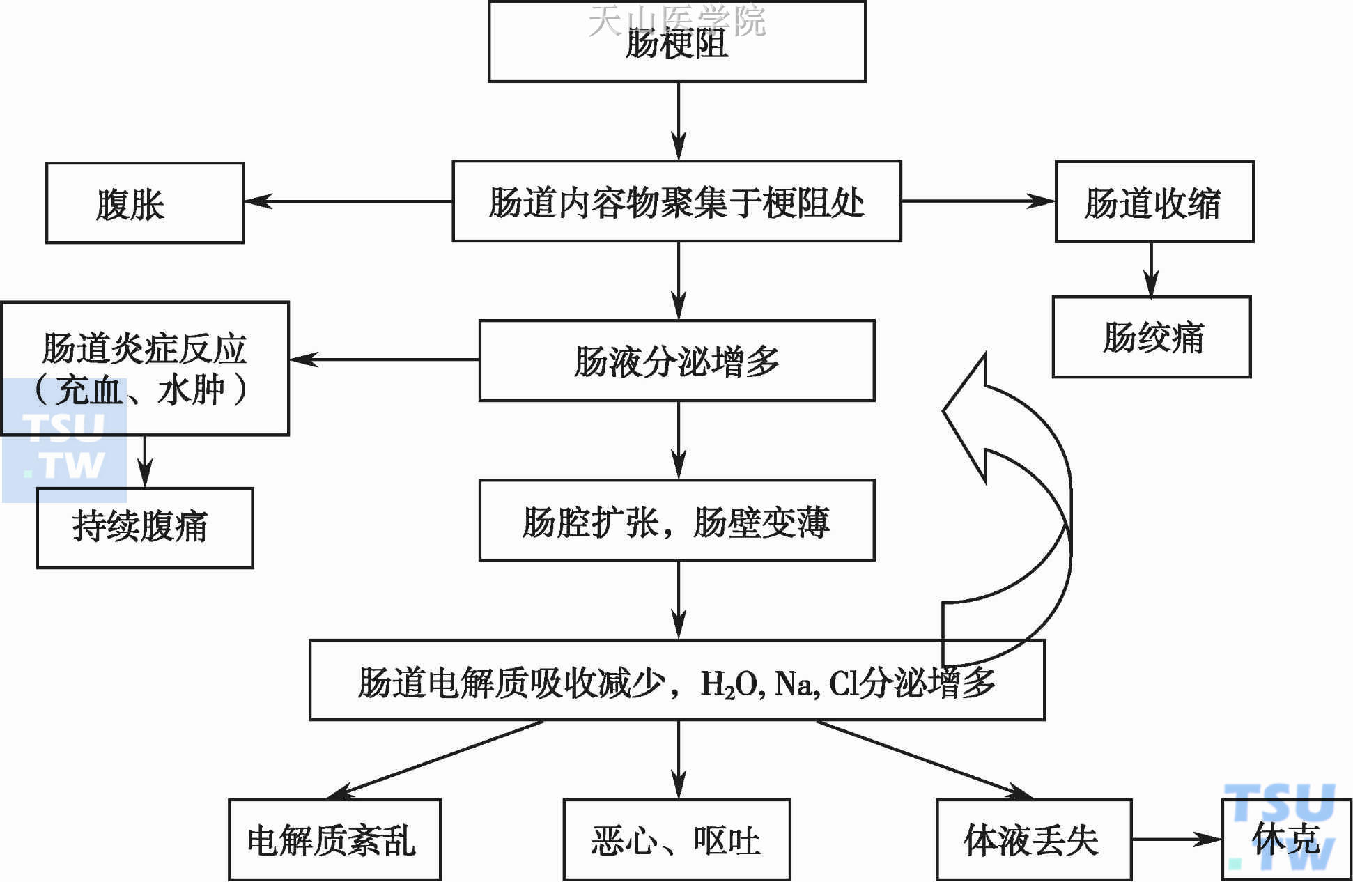 MBO的病理生理机制