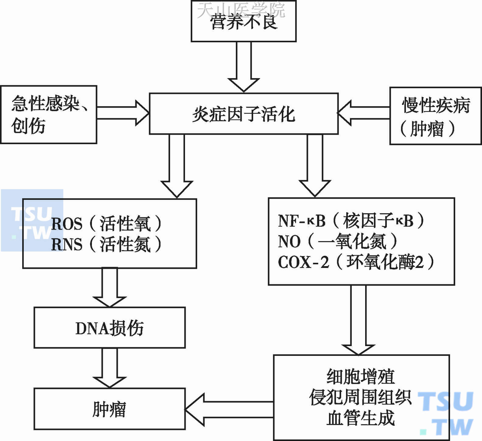 炎症因子活化导致肿瘤的机制