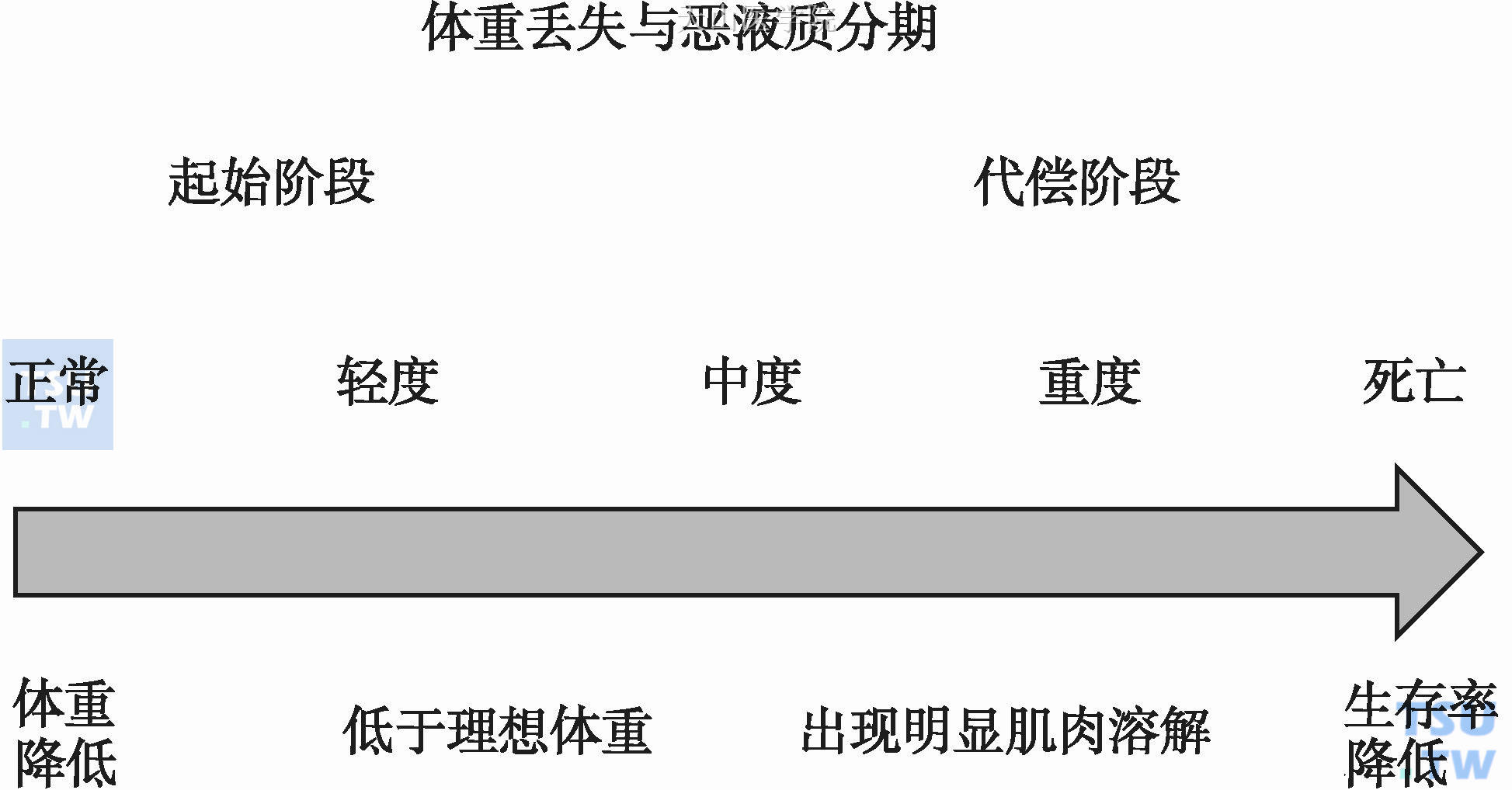 体重丢失与恶液质分期