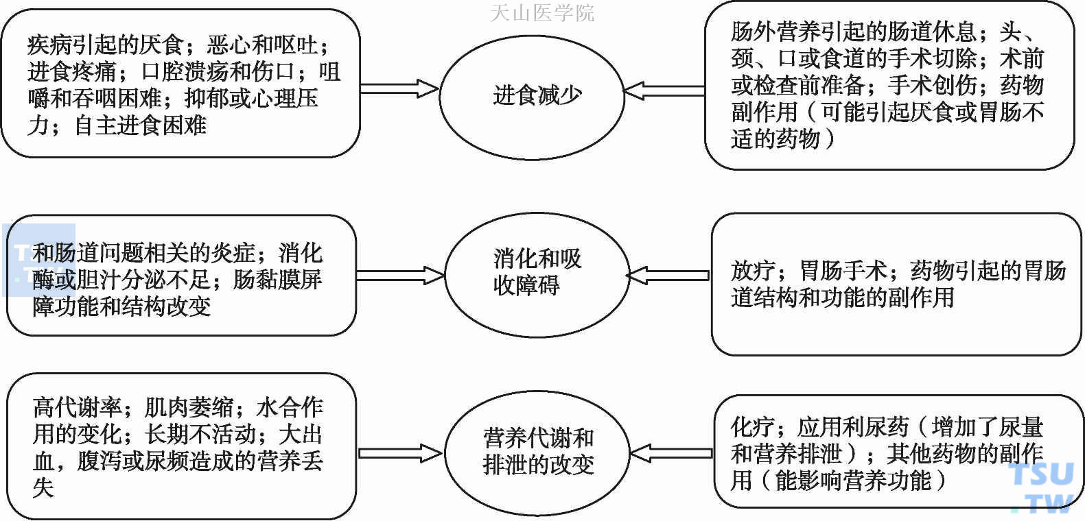 疾病和症状对营养的影响