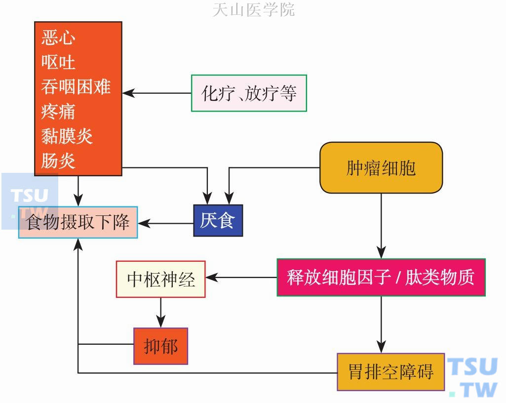 恶液质引起的厌食/食欲缺乏症状