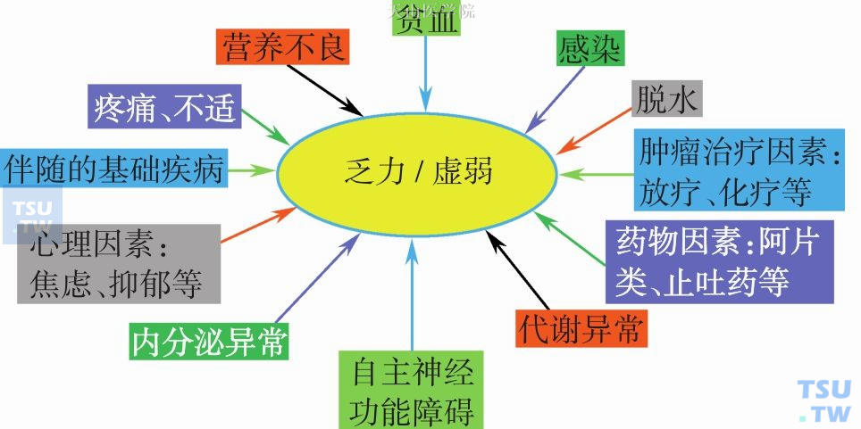 恶液质出现的乏力、虚弱症状