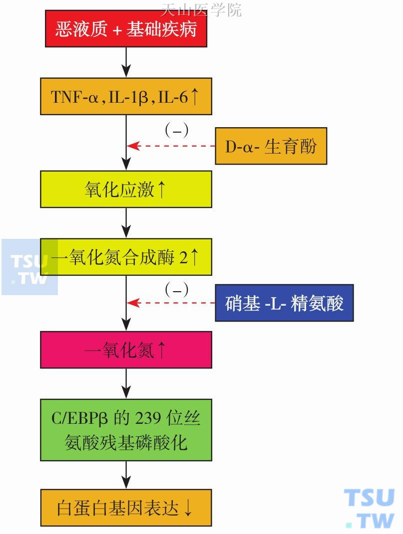 恶液质诱导的白蛋白基因表达抑制