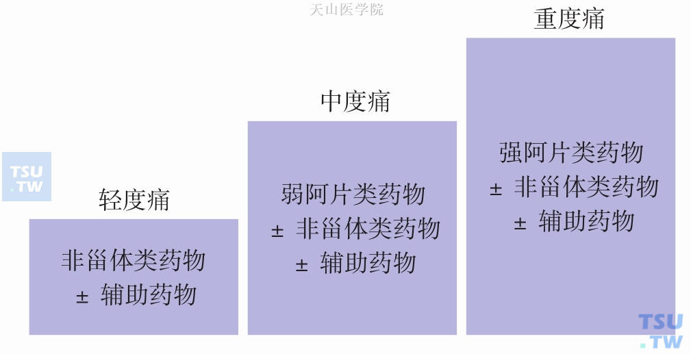 恶液质疼痛症状的治疗