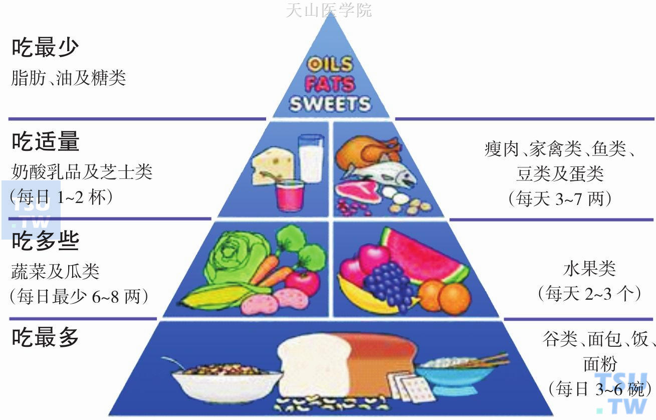 食物金字塔哈佛大学图片