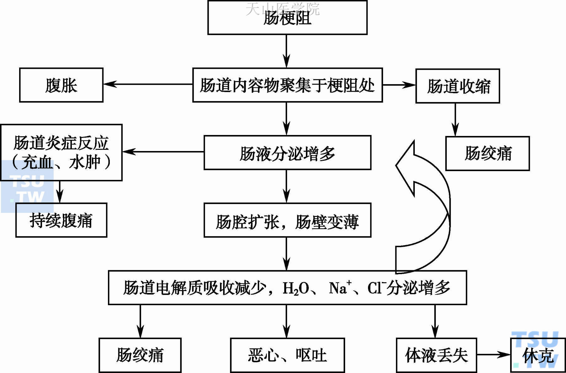 MBO的病理生理机制