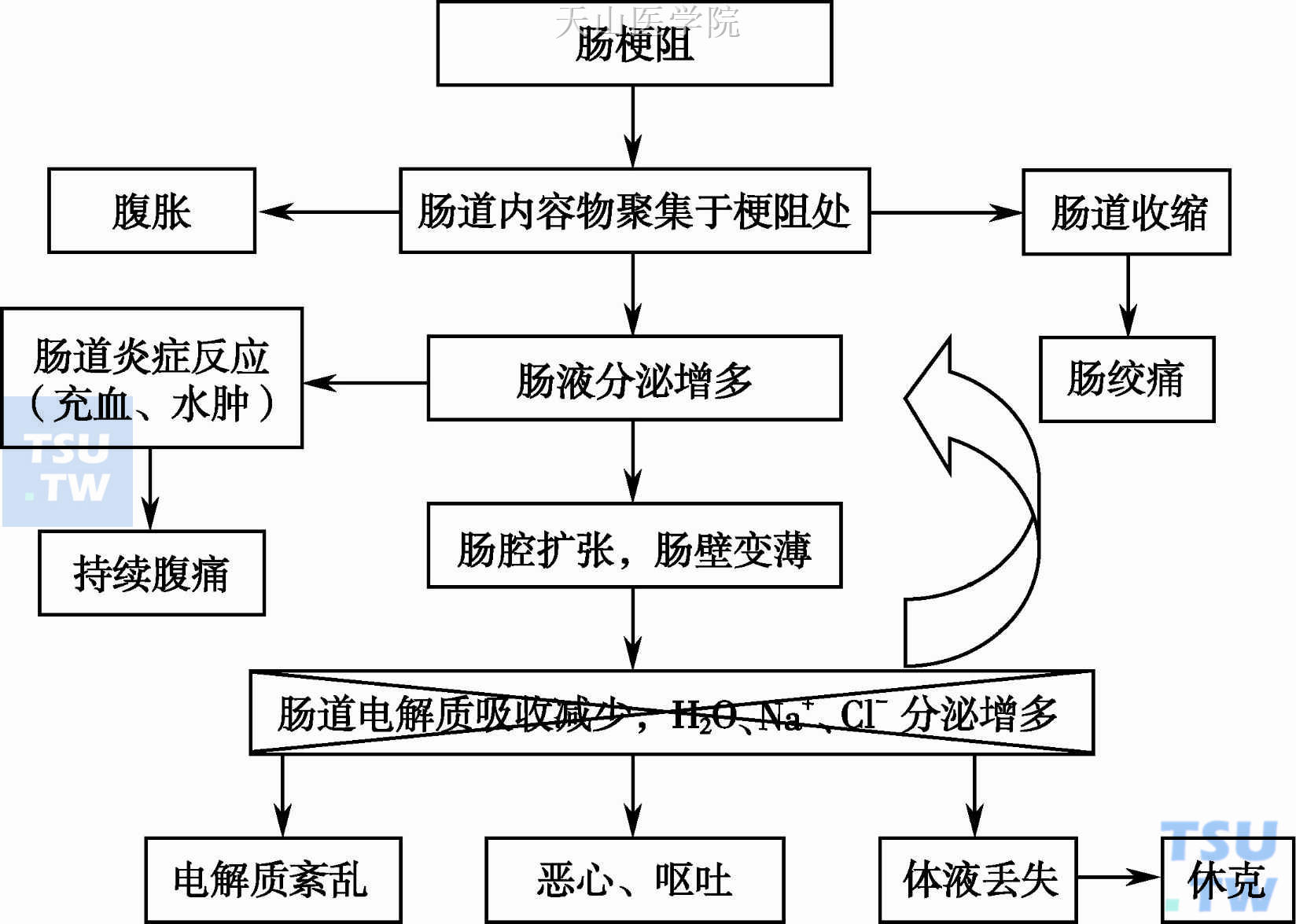 抗分泌药物的作用机制