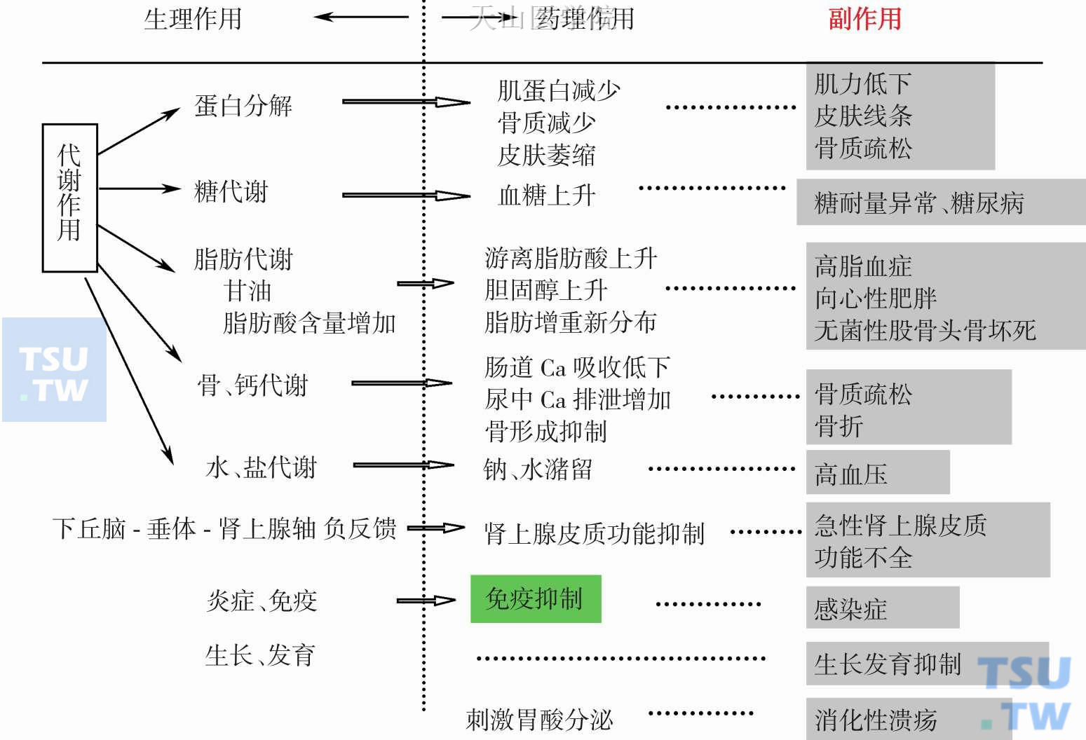 糖皮质激素的副作用