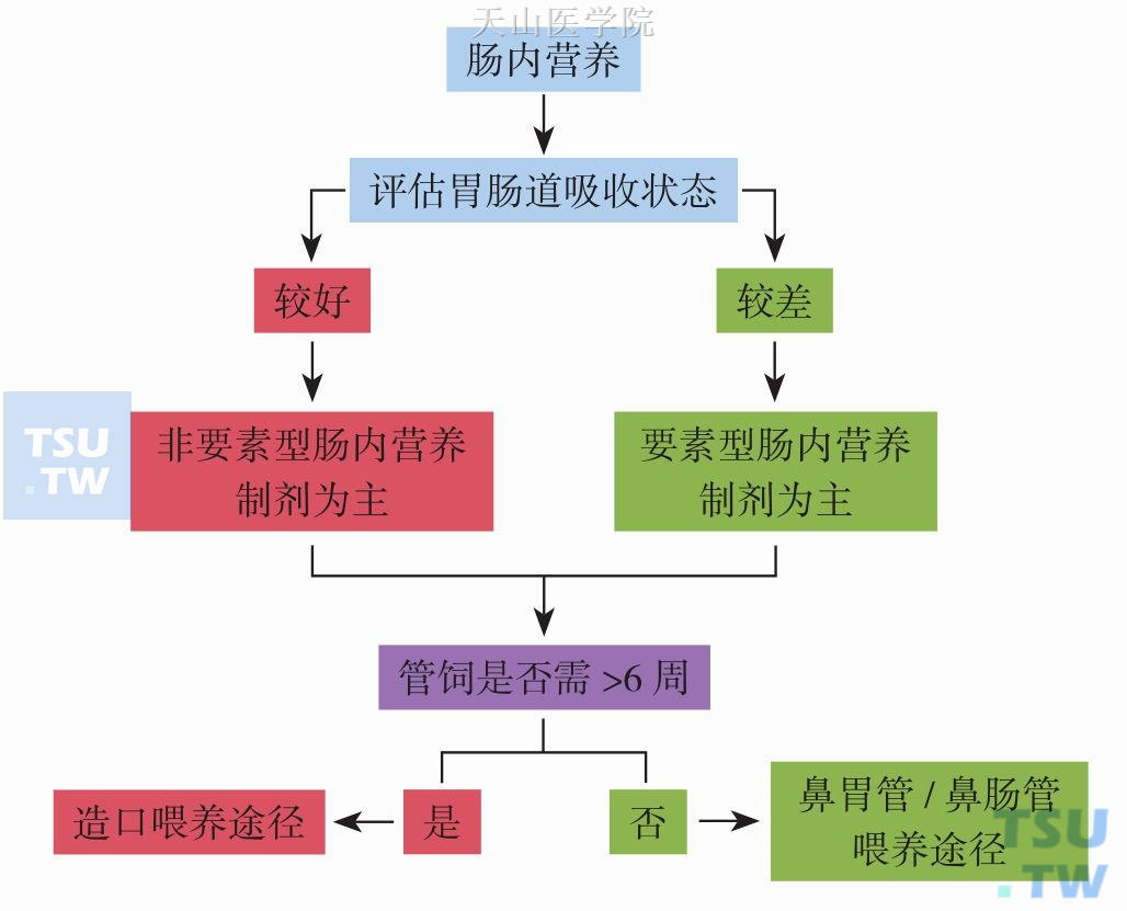 肠内营养支持治疗思路