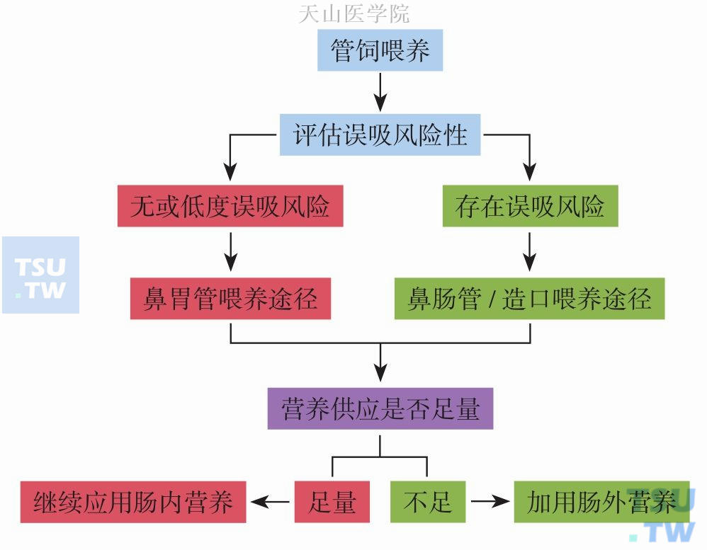 管饲喂养途径的选择