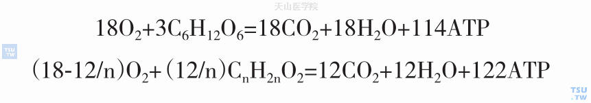 葡萄糖有氧酵解和脂肪酸β氧化的化学式