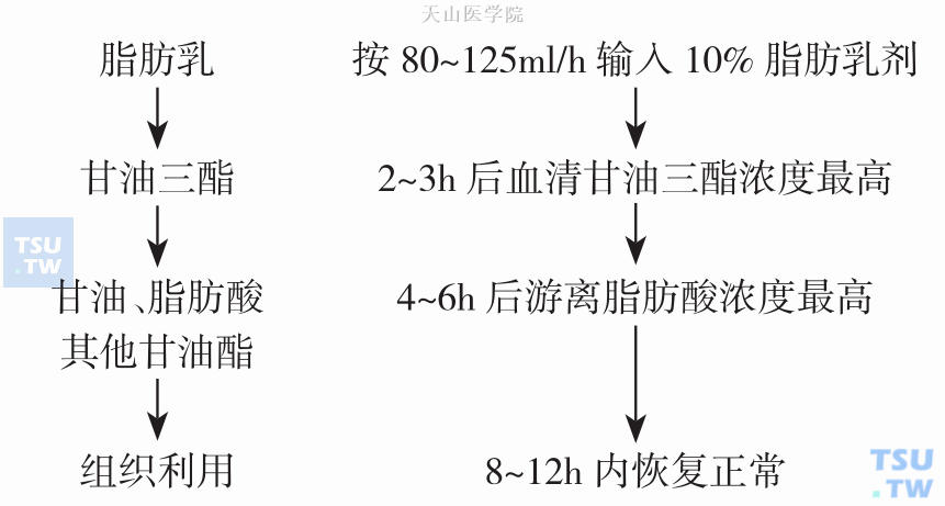 静脉输注脂肪乳剂的代谢过程