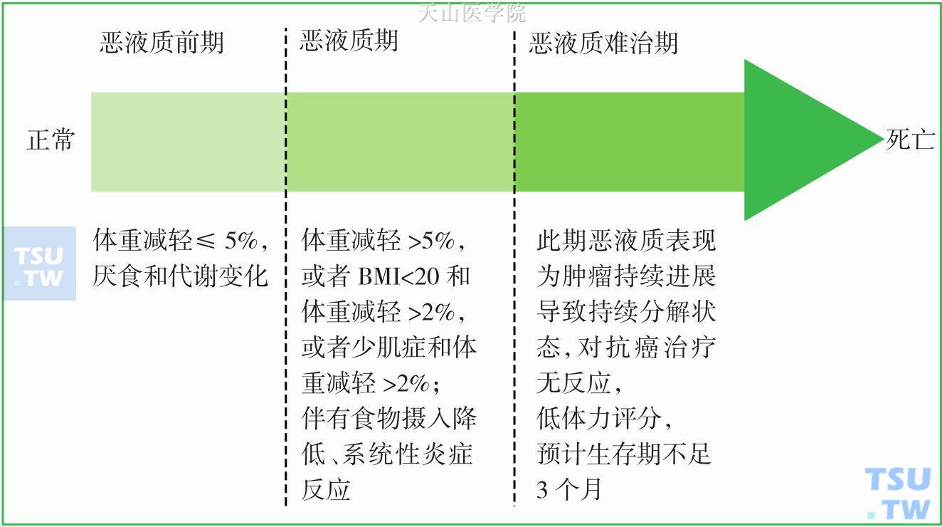 恶液质分期