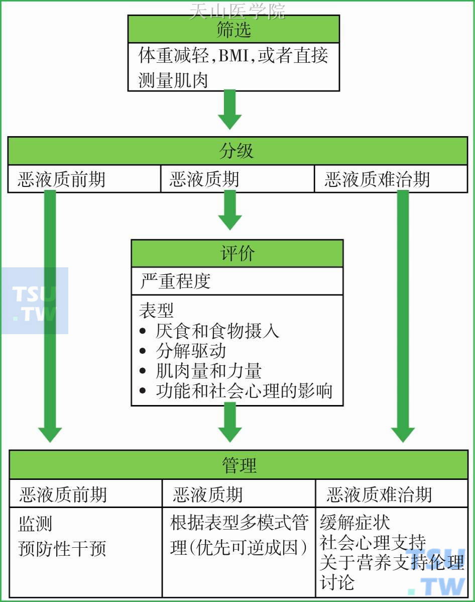  图13-1-2　恶液质管理流程进行