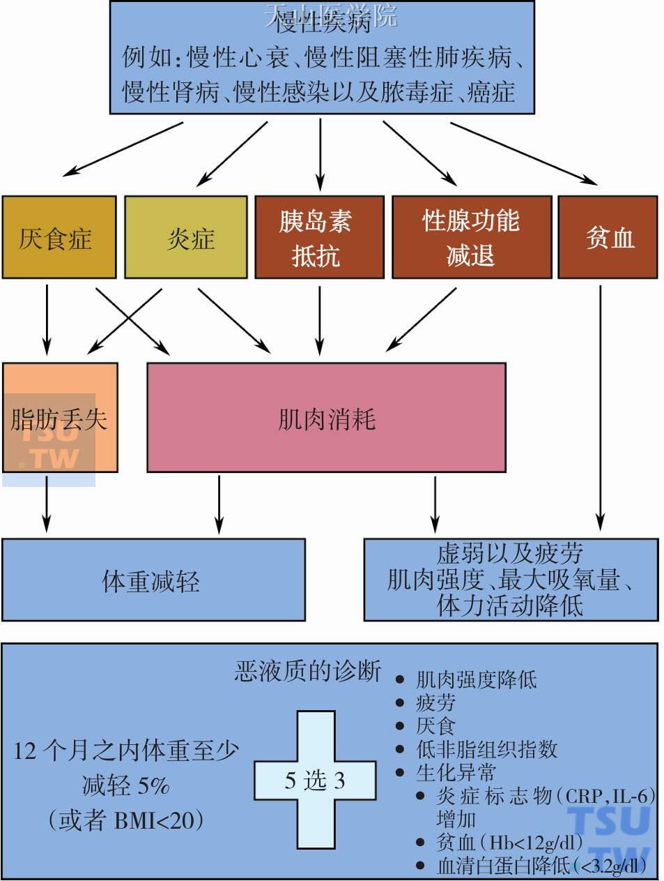 恶液质概念表示法