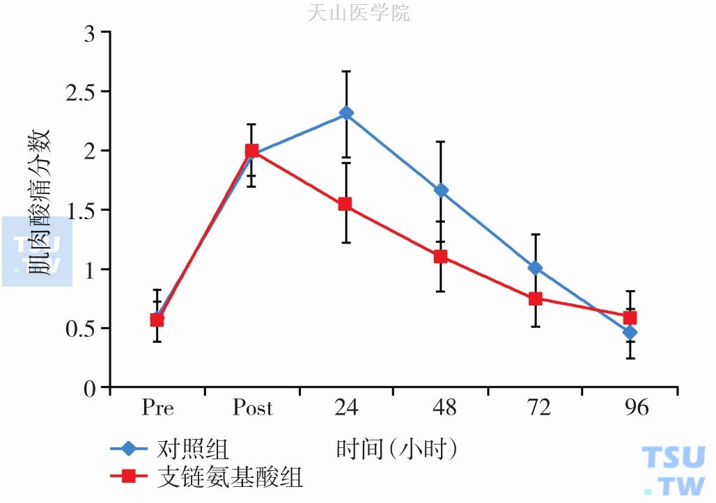 支链氨基酸补充剂对肌肉的影响