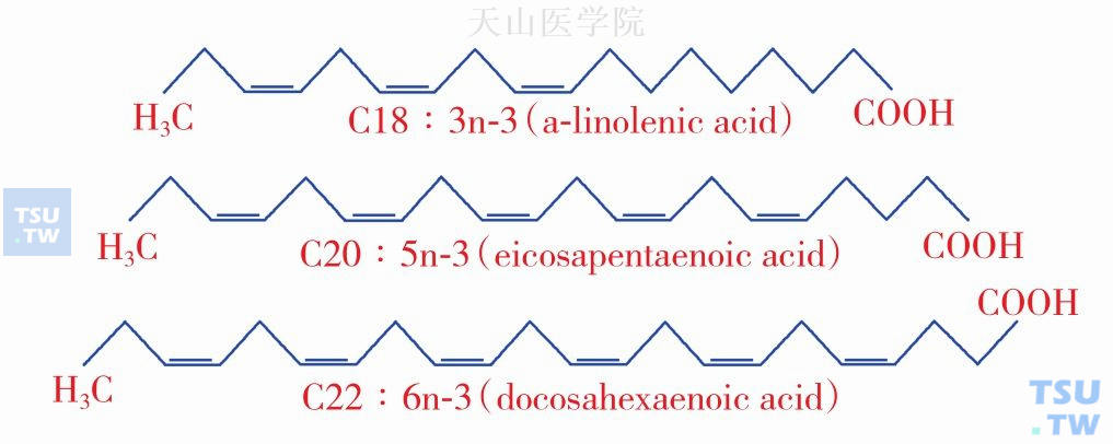 ω-3 PUFAs结构图