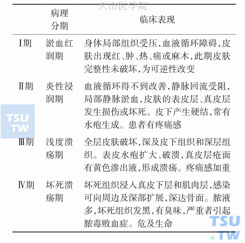 2019最新压疮分期图片图片